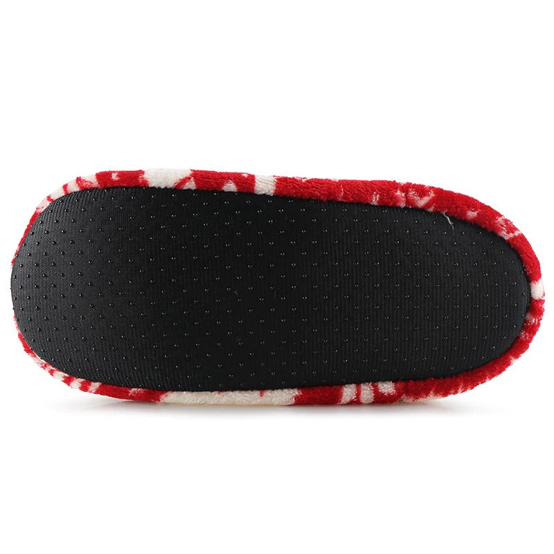 Šiltos žiemos/rudens sezono naminės šlepetės